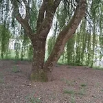 Paradis Semesterbostad *