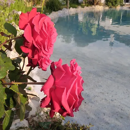 Hébergement de vacances Paradis *