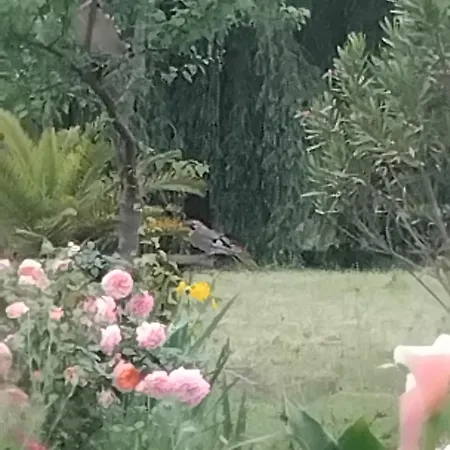 Paradis Ferienhaus Saint-Paul-lès-Dax