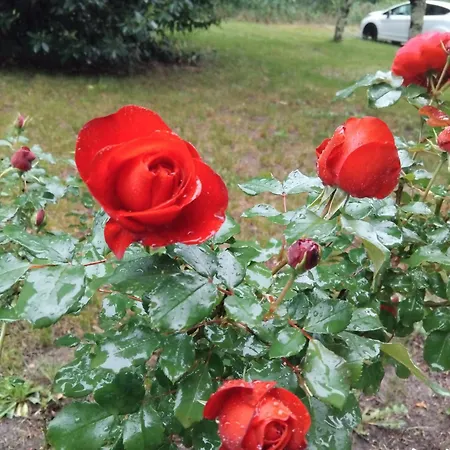 Ferienhaus Paradis Saint-Paul-lès-Dax