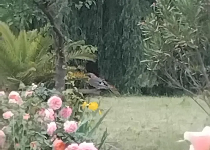 Paradis Nyaraló Saint-Paul-lès-Dax