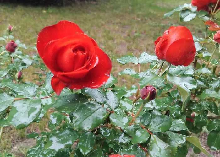 Nyaraló Paradis Saint-Paul-lès-Dax